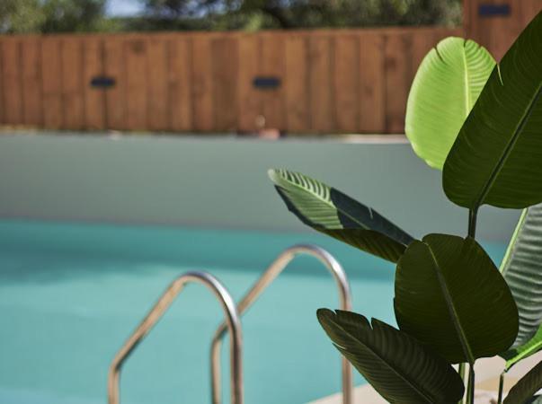 Galadriel Villa With Private Pool & Jacuzzi Kato Yerakarion Exterior photo